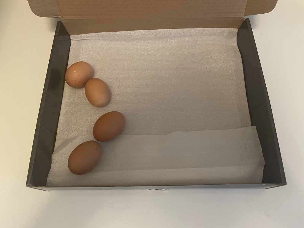doos, eieren