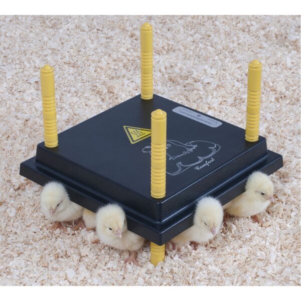 WP-25 - Warmteplaat 25x25cm (1)