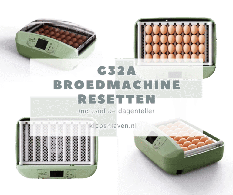 Voor foto G32A